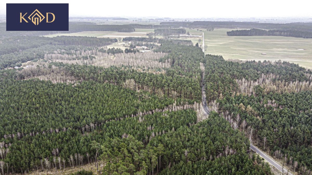 Działka inwestycyjna Dąbrowa Nowa. Zdjęcie 16