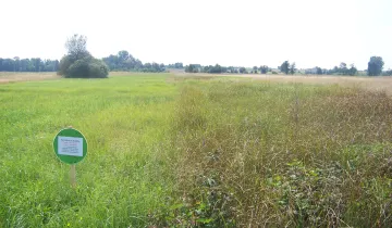 Działka na sprzedaż bez pośredników 
 
 Zabruzdy-Kolonia - Widok 5