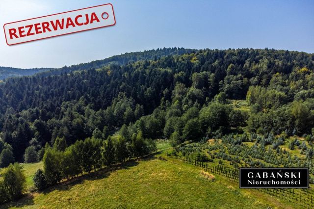 Działka budowlana Słona. Zdjęcie 6