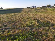 Działka budowlana Marcelin. Zdjęcie 1