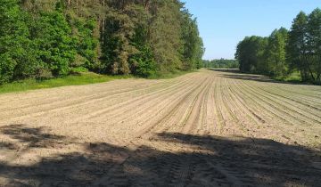 Działka rolna Strzygi