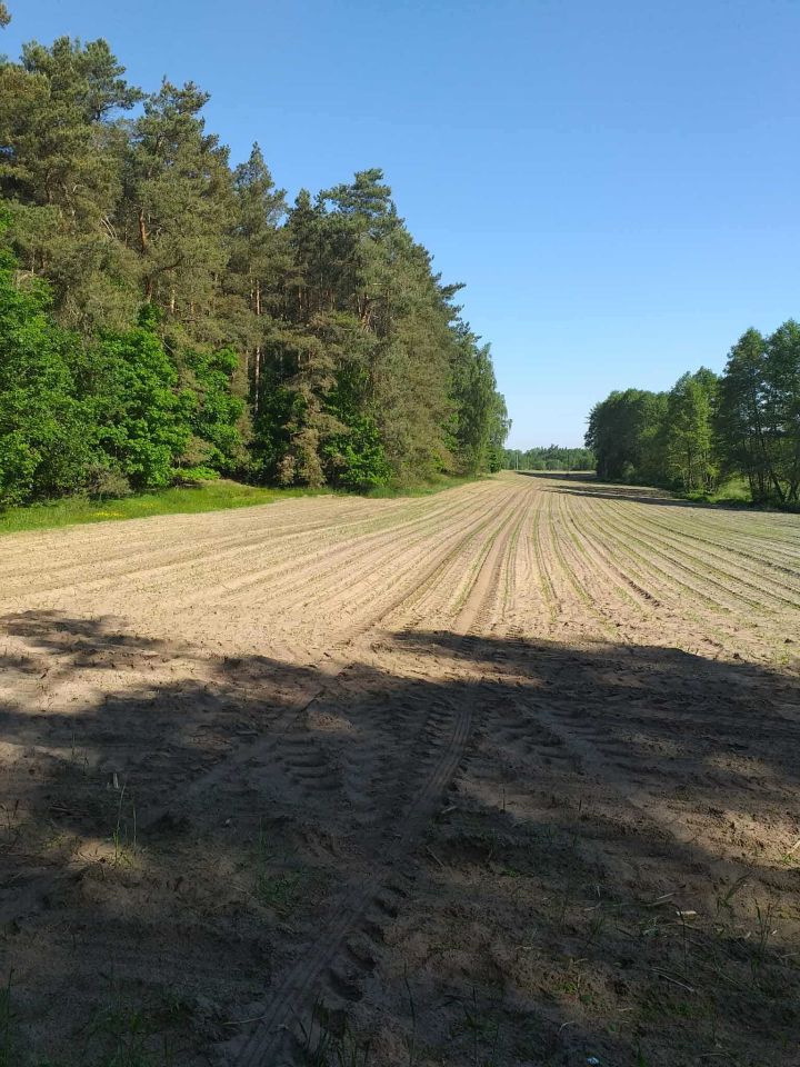 Działka rolna Strzygi. Zdjęcie 2
