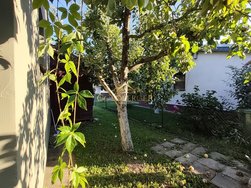 Działka rekreacyjna Sierosław, ul. Bukowska. Zdjęcie 10