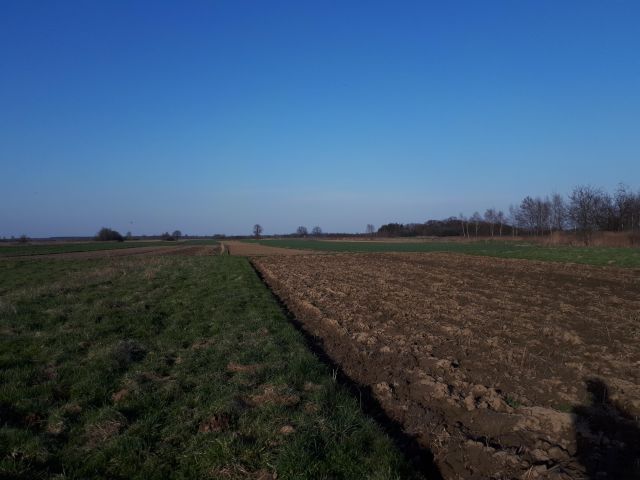 dom wolnostojący, 2 pokoje Wokowice, ul. Centralna. Zdjęcie 4