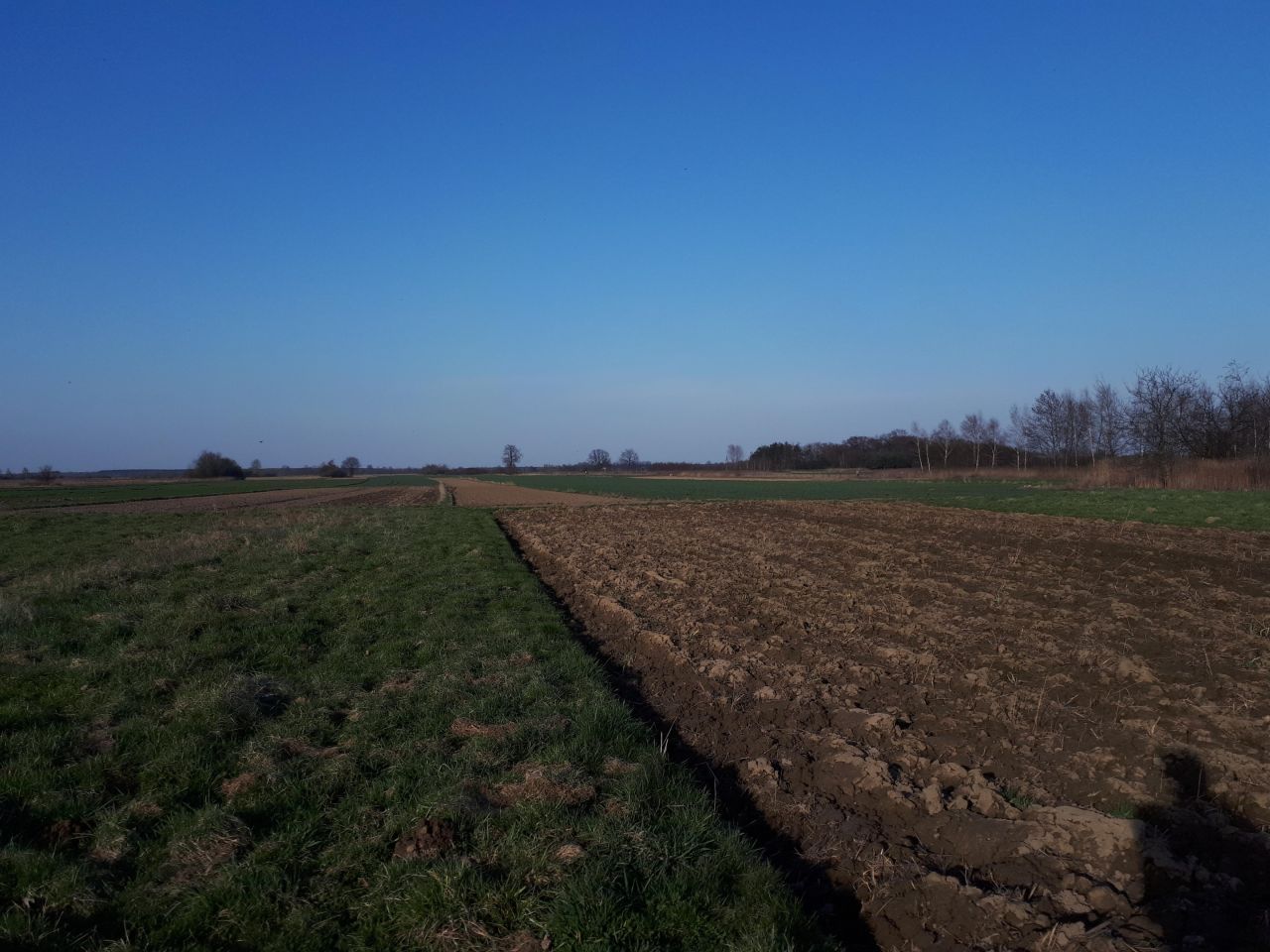 dom wolnostojący, 2 pokoje Wokowice, ul. Centralna. Zdjęcie 4
