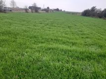 Działka budowlana Lisewo-Parcele. Zdjęcie 3