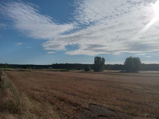 Działka rolna Siedlisko, ul. Długa. Zdjęcie 3