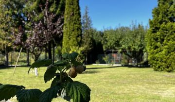 Działka rod Gliwice Sikornik, ul. Rybnicka