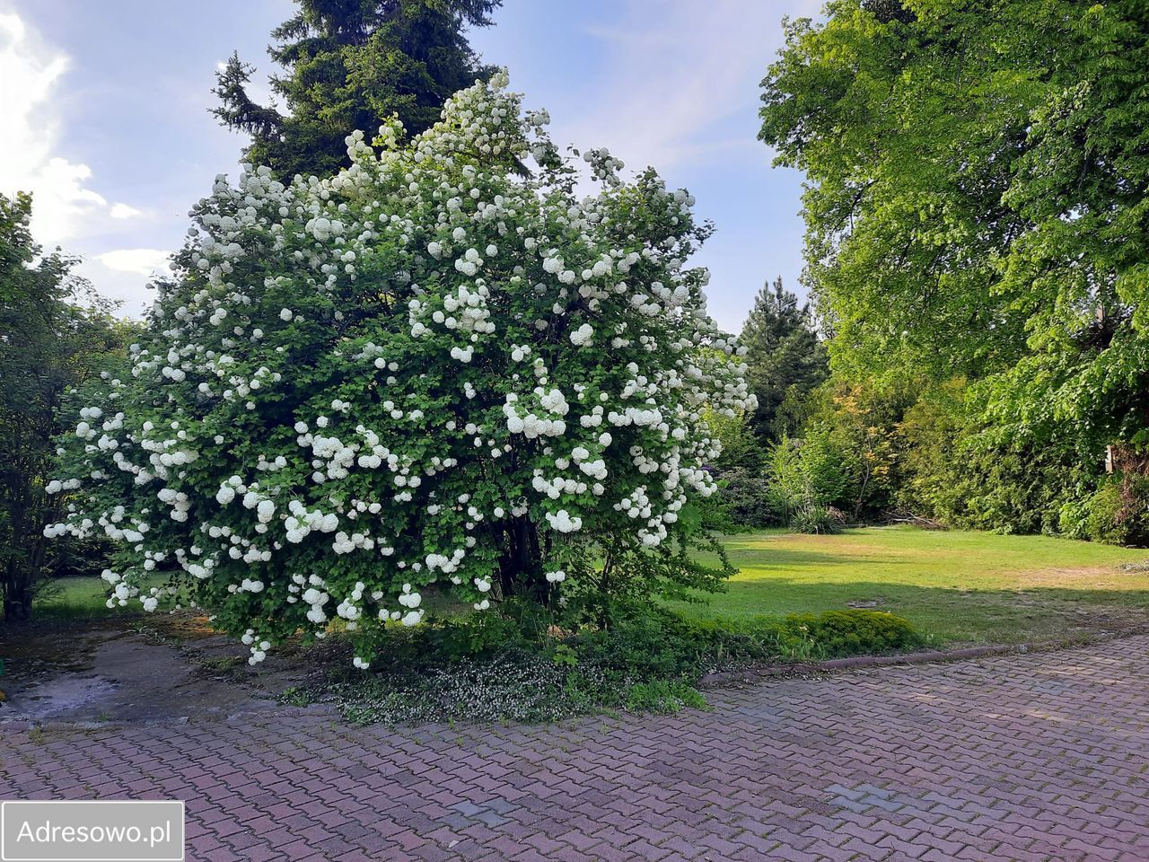 dom wolnostojący Ruda. Zdjęcie 2