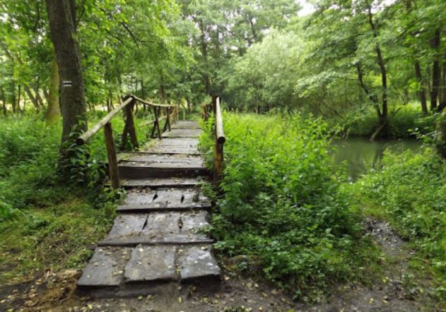 Działka budowlana Łapino Kartuskie. Zdjęcie 10