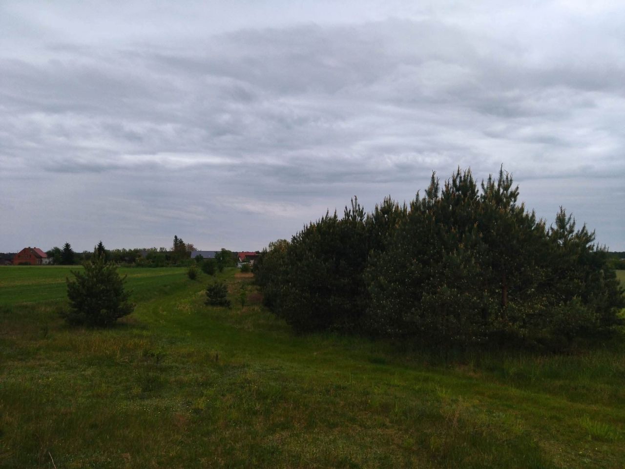 Działka budowlana Świerczyna. Zdjęcie 5