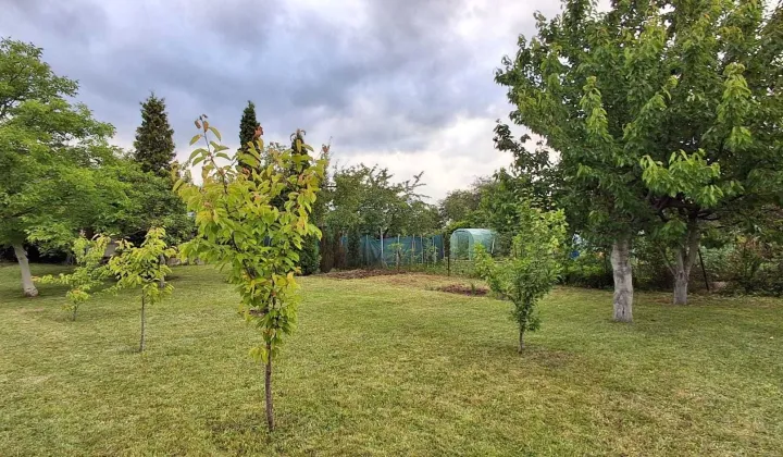 Działka rod Tczew, ul. Targowa