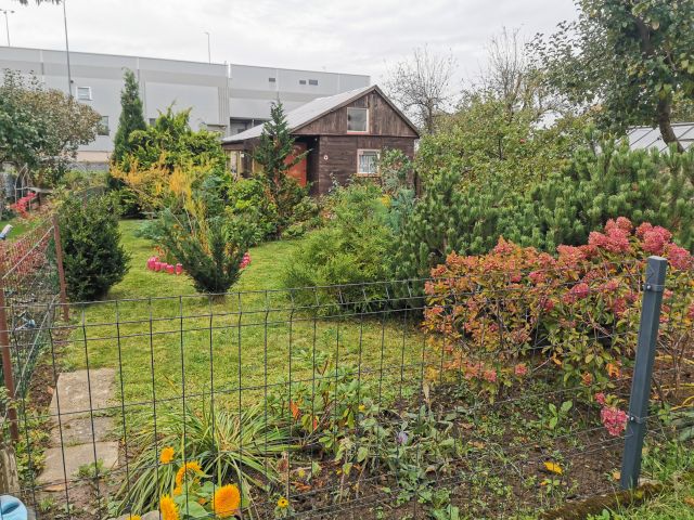 Działka rod Koszalin Podgórze, ul. Sybiraków. Zdjęcie 1