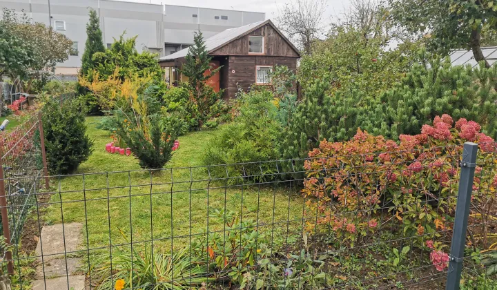 Działka rod Koszalin Podgórze, ul. Sybiraków