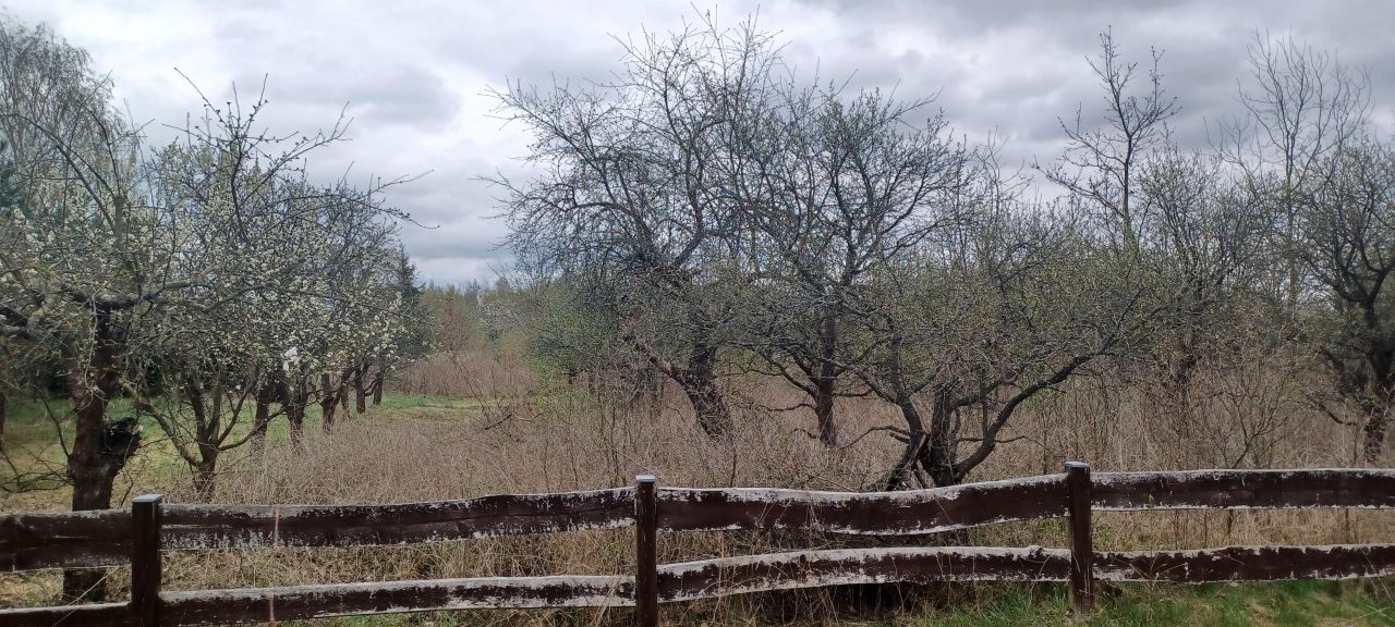 Działka rolno-budowlana Brodek. Zdjęcie 5