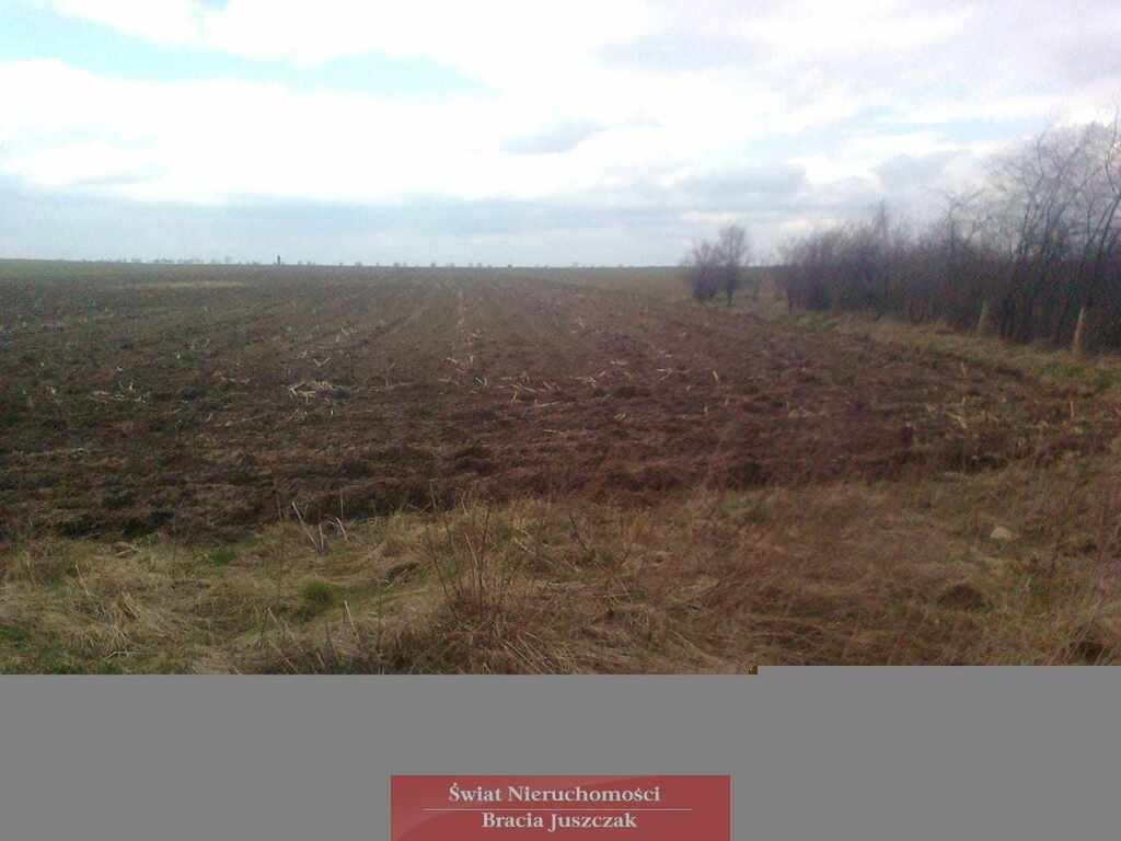 Działka budowlana Osiek. Zdjęcie 1