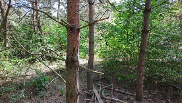 Działka budowlana Kady. Zdjęcie 12