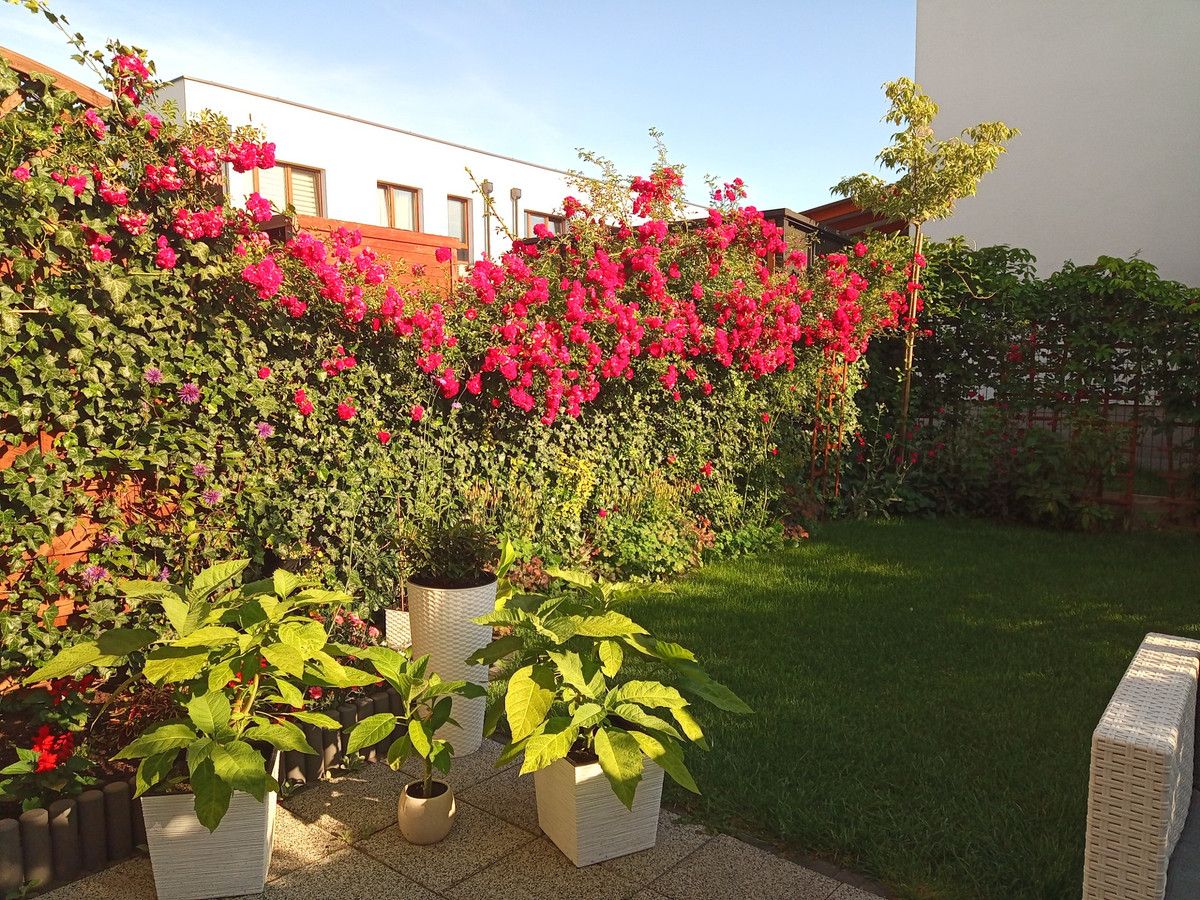 Mieszkanie 4-pokojowe Nowy Dwór Mazowiecki. Zdjęcie 9