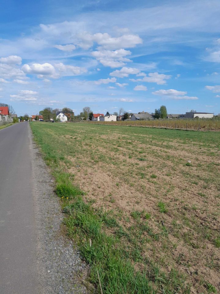 Działka rolno-budowlana Stary Zambrzyków. Zdjęcie 1