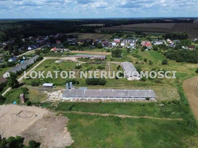 Hala/magazyn Rutwica. Zdjęcie 2