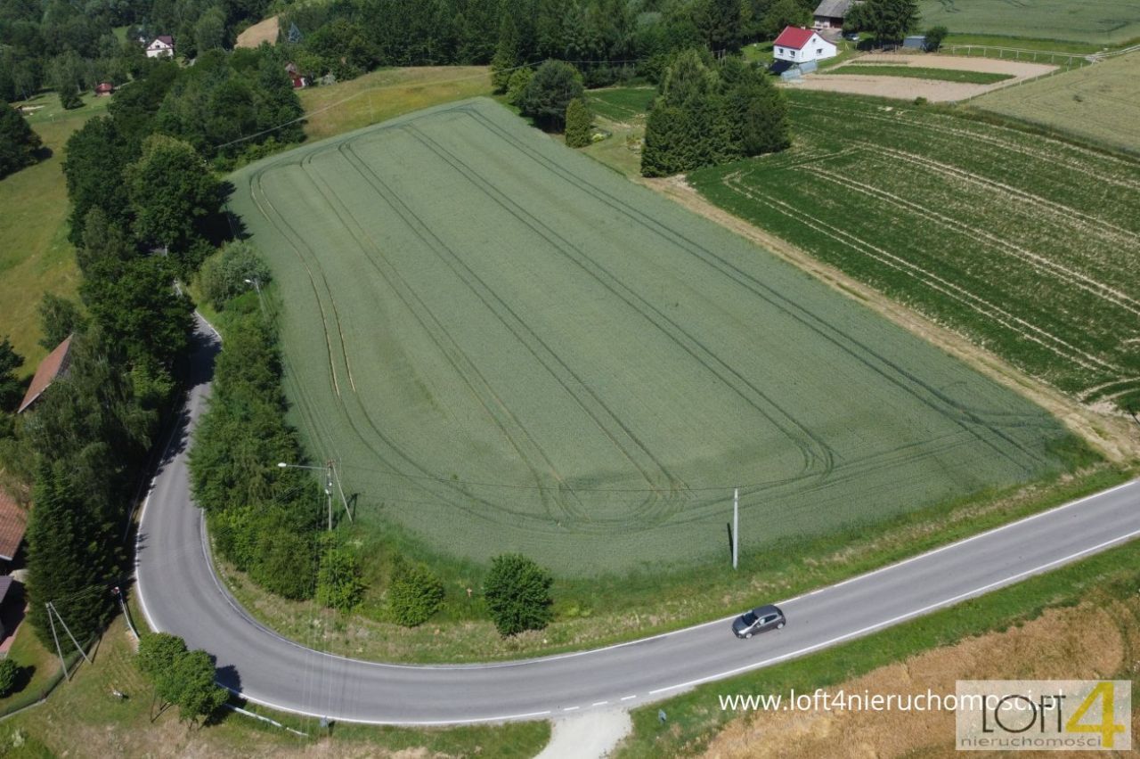 Działka budowlana Tuchów. Zdjęcie 13
