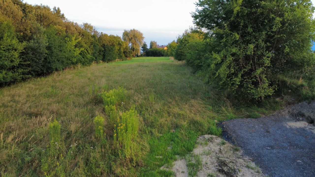 Działka budowlana Krostoszowice, ul. Wodzisławska. Zdjęcie 5