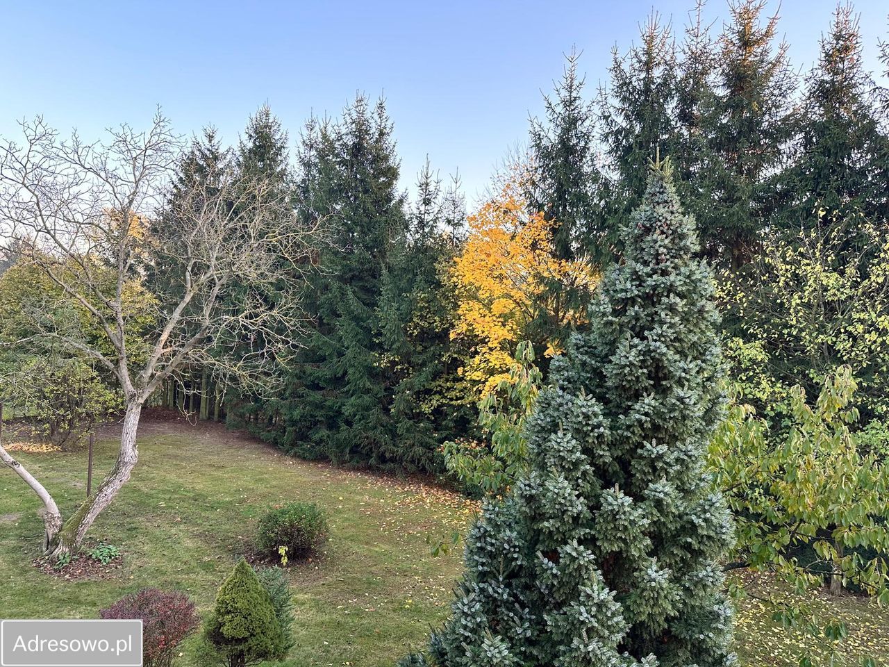 dom wolnostojący, 6 pokoi Warszawa Ursynów, ul. Jagielska. Zdjęcie 3