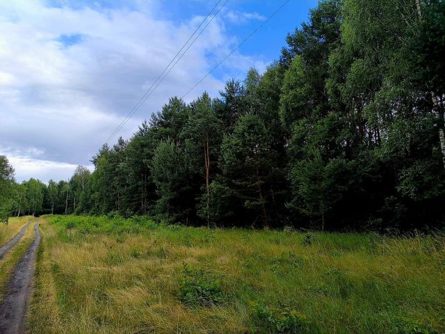 Działka budowlana Tumlin-Osowa, gminna. Zdjęcie 1