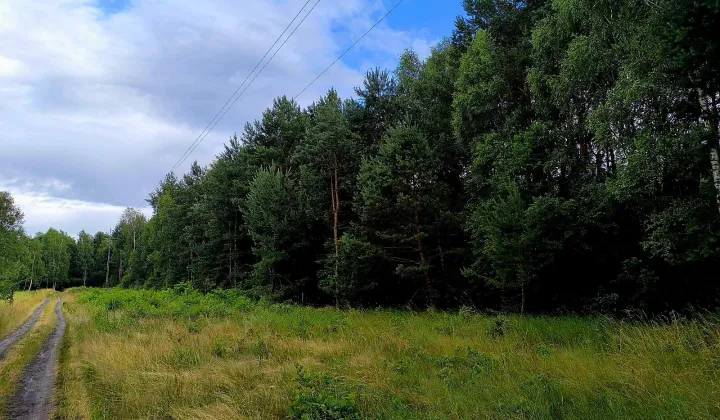 Działka budowlana Tumlin-Osowa