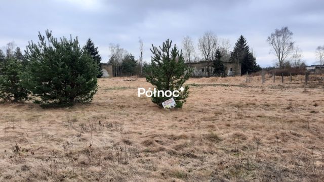 Działka inwestycyjna Trzebień. Zdjęcie 8