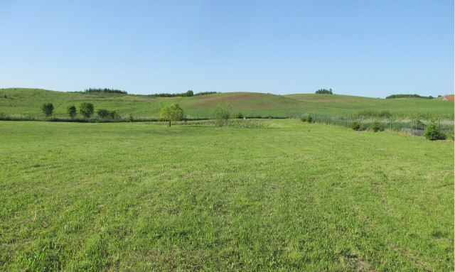 Działka rolno-budowlana Studzianka. Zdjęcie 1