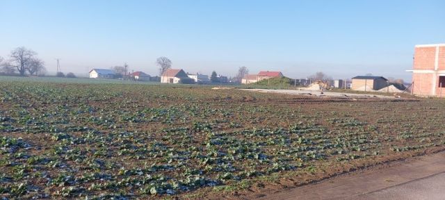 Działka budowlana Pogorzela. Zdjęcie 1