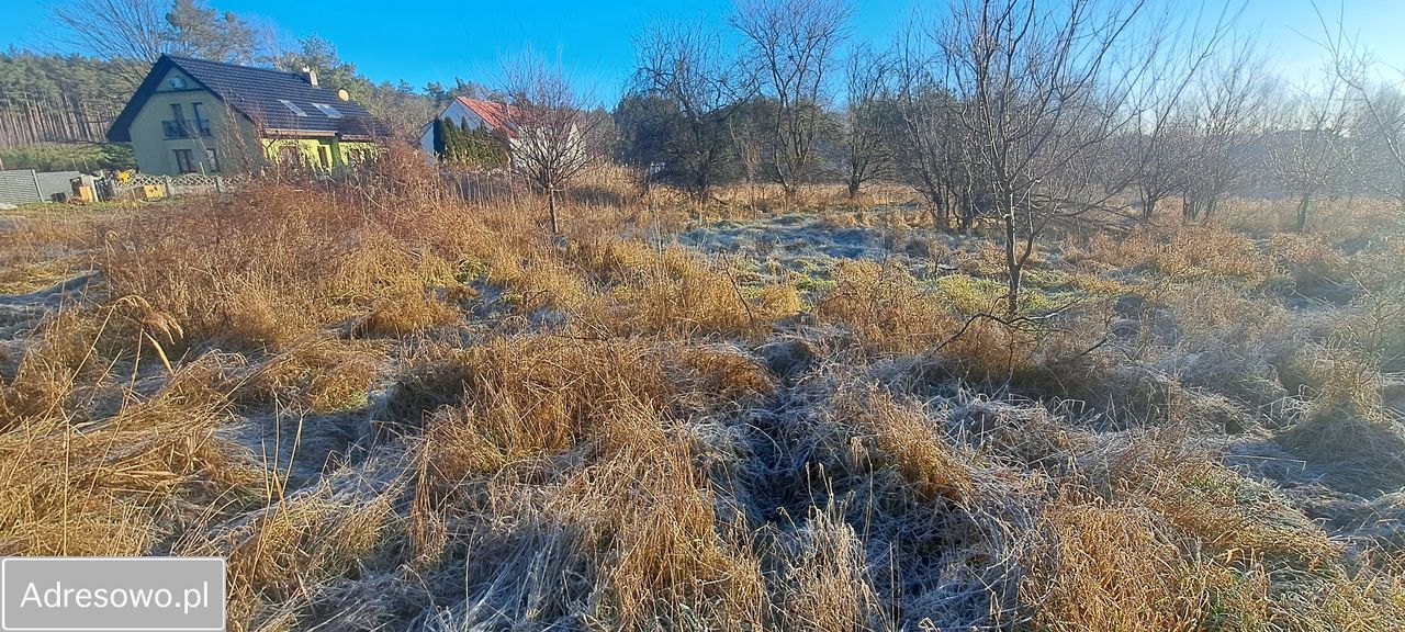 Działka budowlana Zielona Góra Nowy Kisielin, ul. Nowy Kisielin-Kasztanowa. Zdjęcie 8