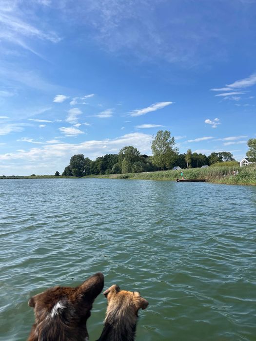 Działka budowlana Pluskowęsy. Zdjęcie 4