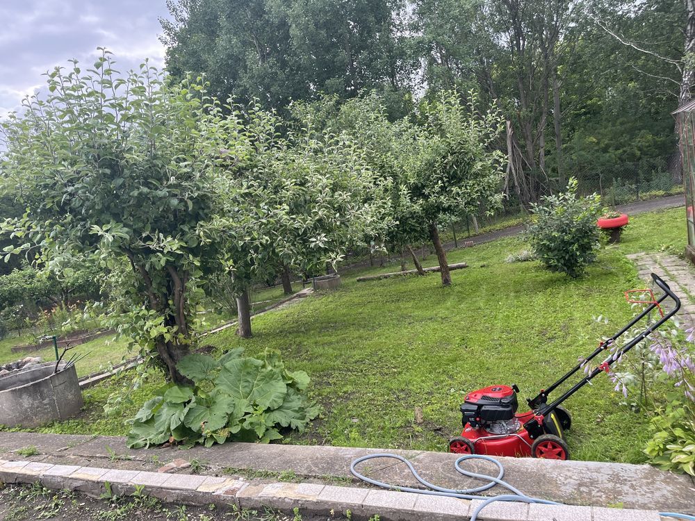 Działka rod Mrągowo. Zdjęcie 3