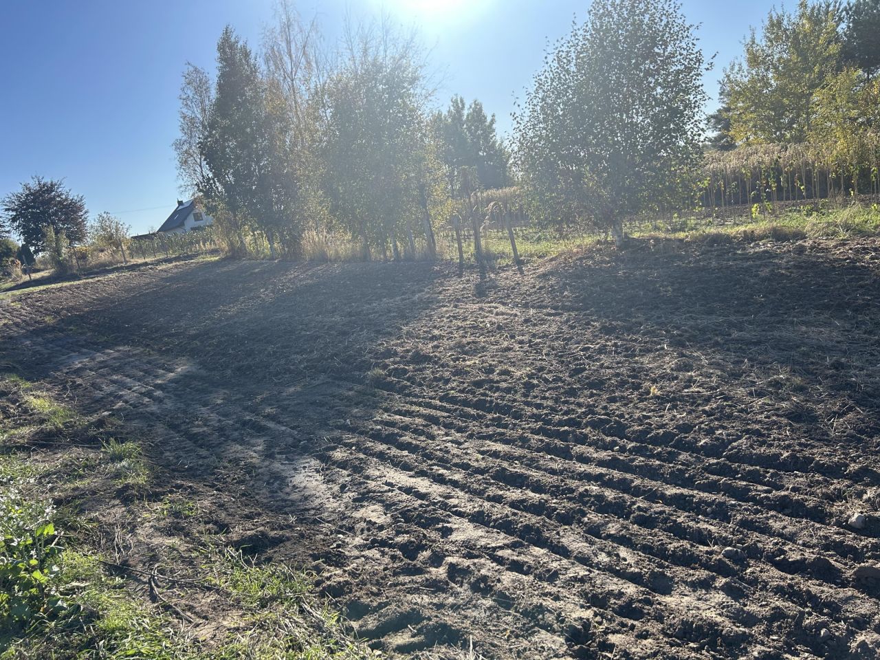 Działka budowlana Końskowola, ul. Henryka Dąbrowskiego. Zdjęcie 3