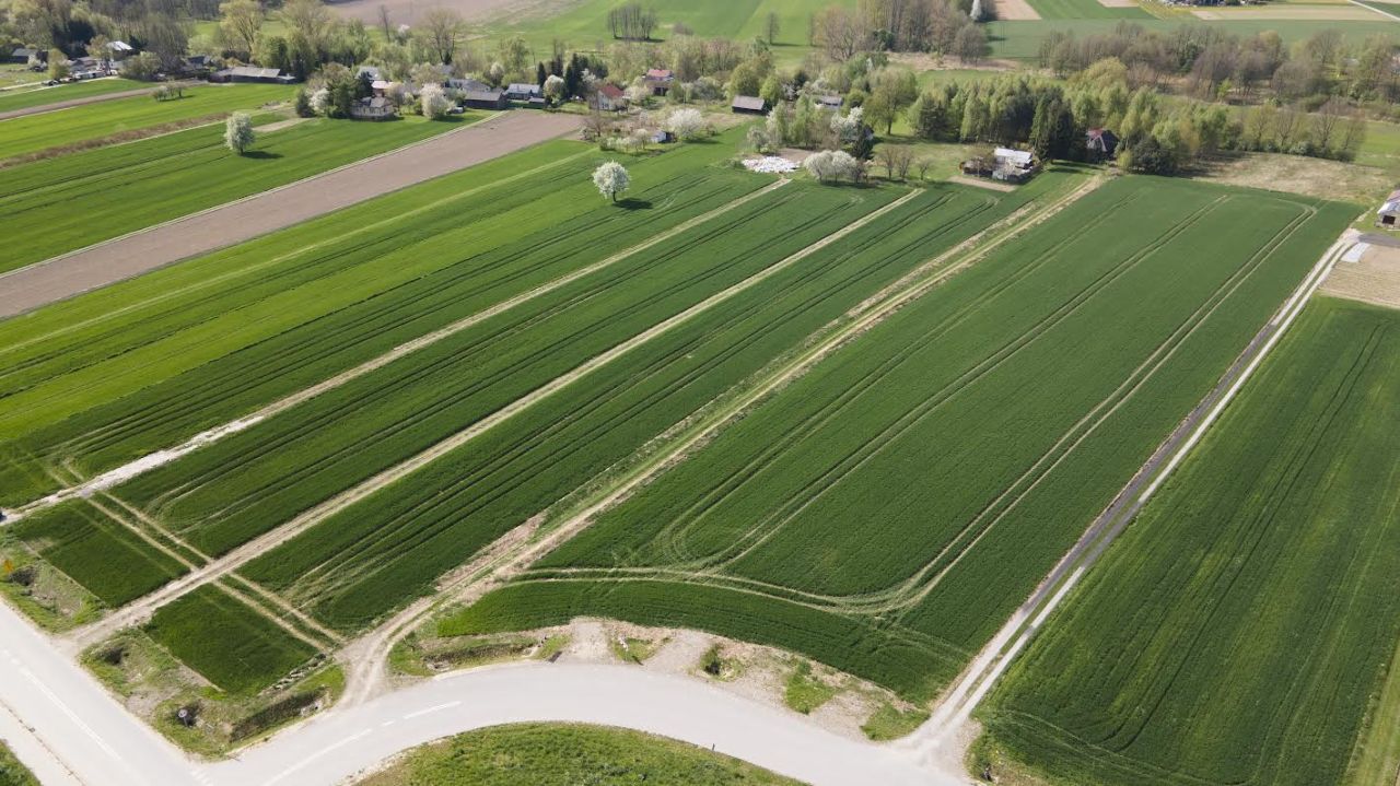 Działka budowlana Niedrzwica Duża Niedrzwica Duża Pierwsza, ul. Krzywa. Zdjęcie 6