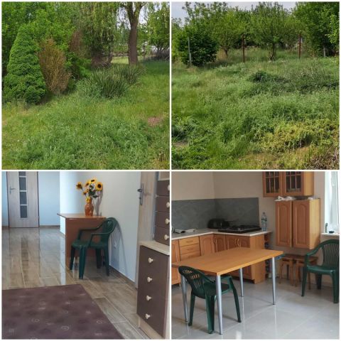 Działka rolna Złotopolice. Zdjęcie 1