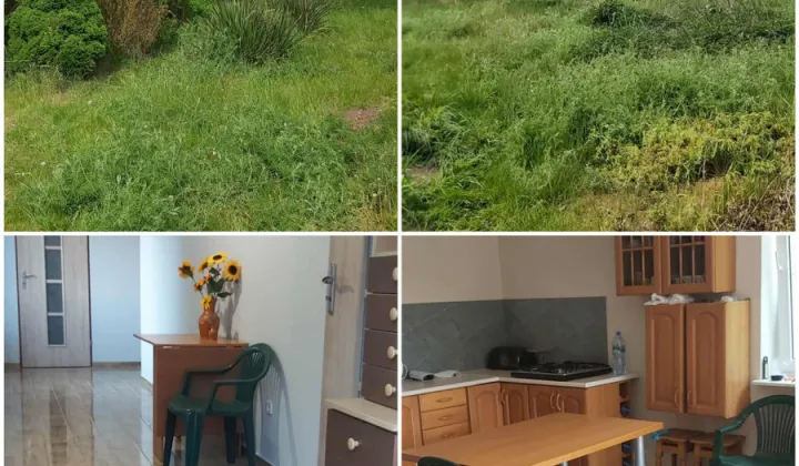 Działka rolna Złotopolice