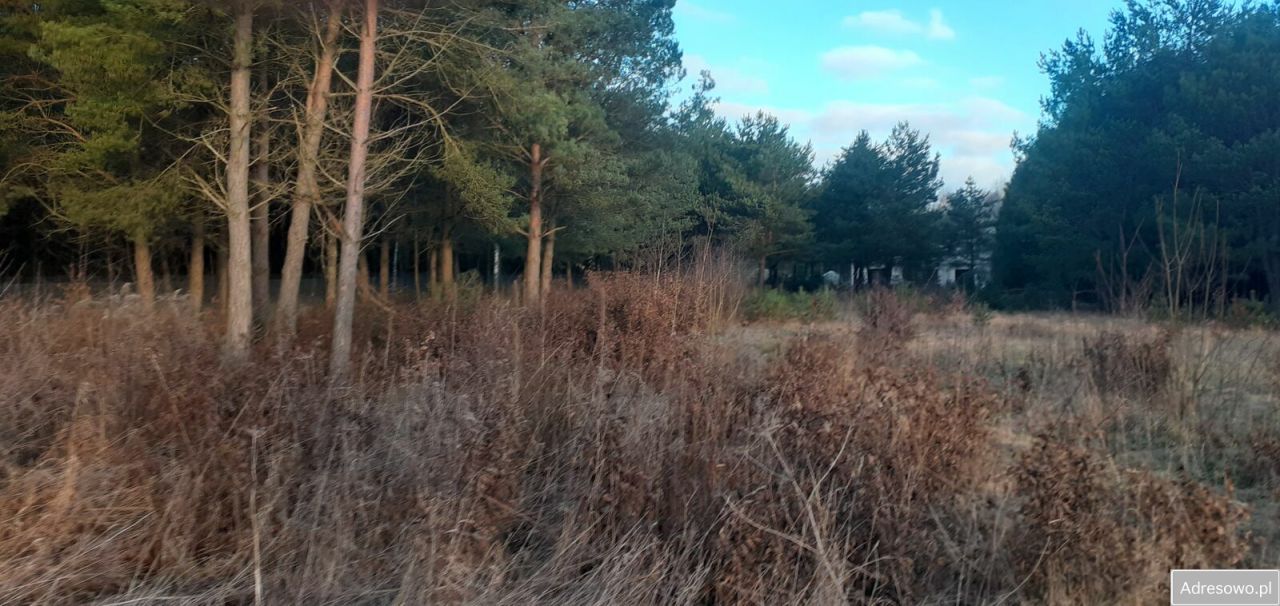 Działka budowlana Łukta. Zdjęcie 6