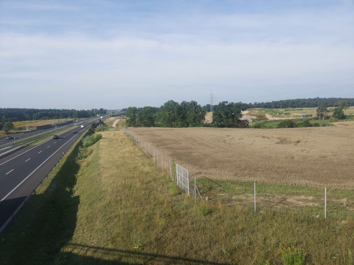 Działka inwestycyjna Joanka. Zdjęcie 1