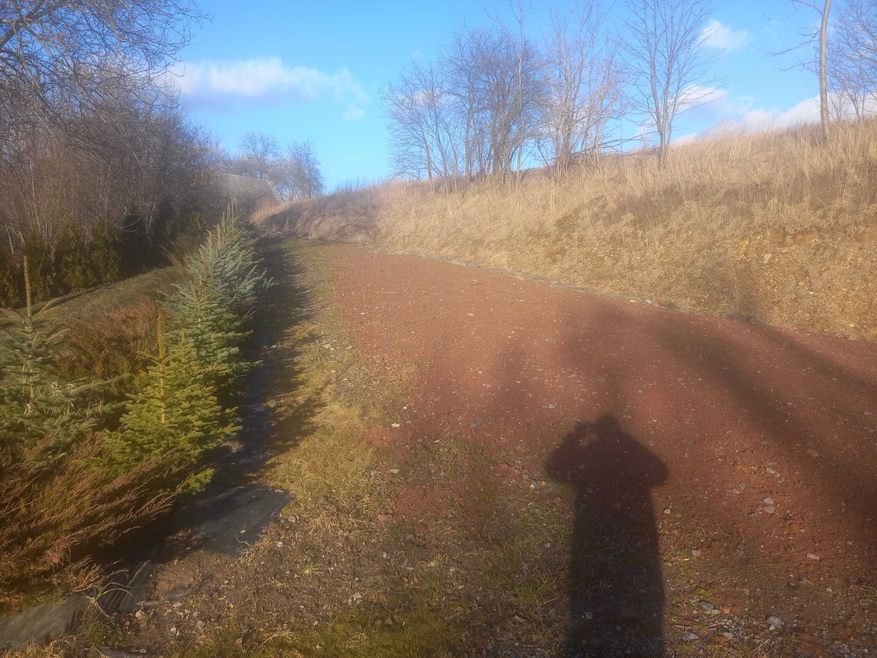 Działka budowlana Wojbórz. Zdjęcie 2