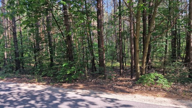 Działka leśna Krzywopłoty, ul. Leśna. Zdjęcie 1