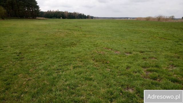 Działka rolna Obra. Zdjęcie 1