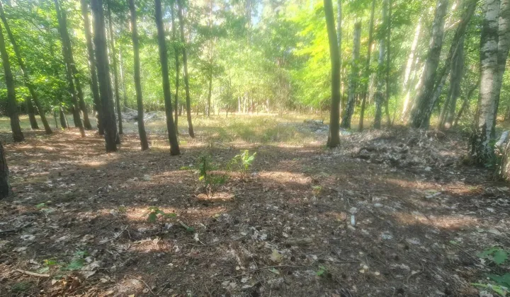 Działka inna Władysławów, ul. Ku Rzece