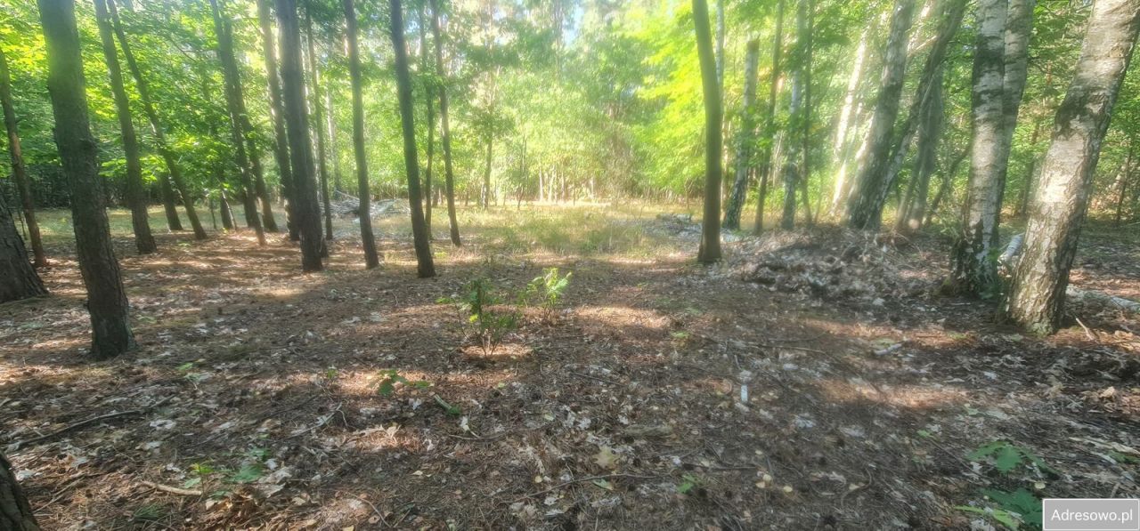 Działka inna Władysławów, ul. Ku Rzece