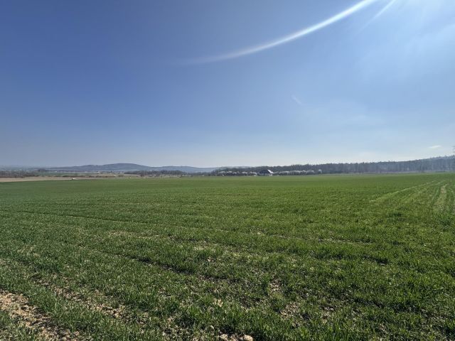 Działka budowlana Strzegomiany. Zdjęcie 7