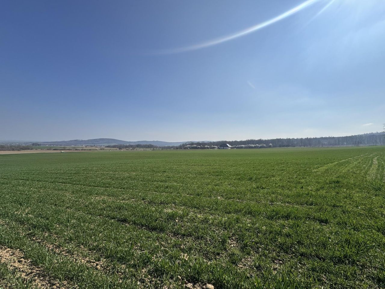 Działka budowlana Strzegomiany. Zdjęcie 7