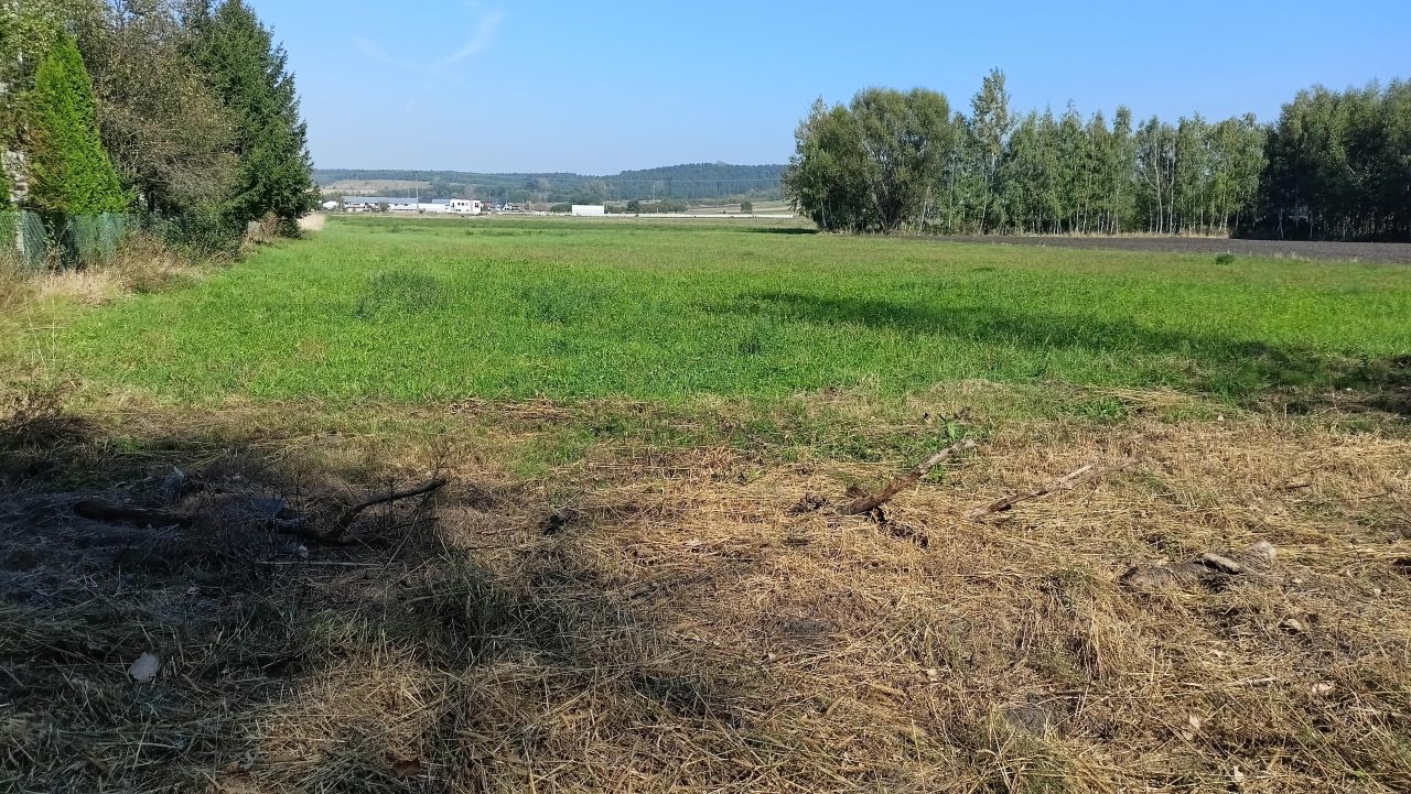 Działka rolno-budowlana Pasturka Krzywda. Zdjęcie 7