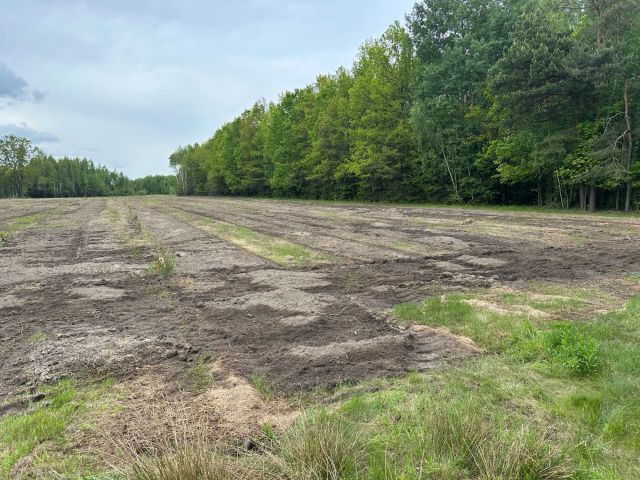 Działka budowlana Wola Polska. Zdjęcie 1